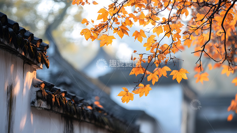 高清大图下载【趣麦麦图】秋日枫叶中式建筑园林1