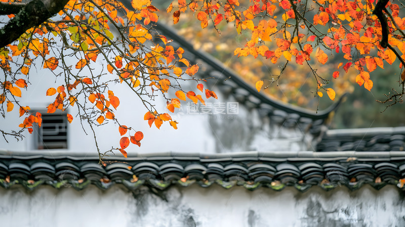 高清大图下载【趣麦麦图】秋日枫叶中式建筑园林3