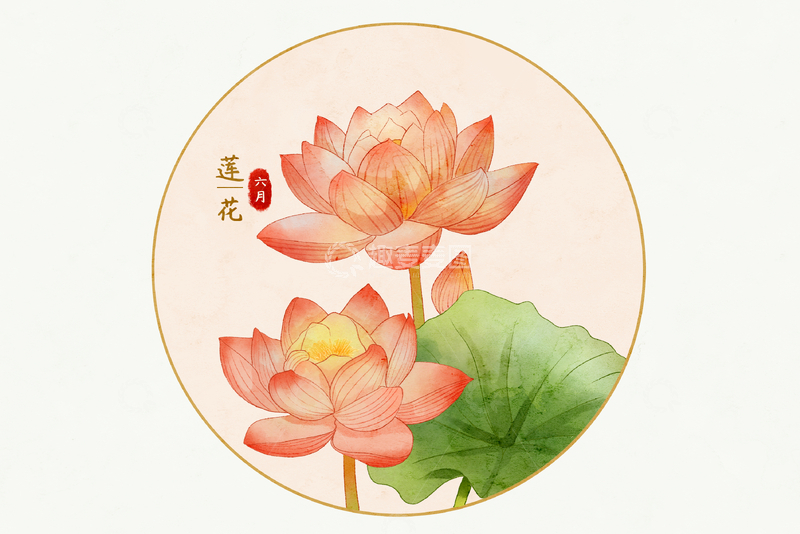 源文件下载【趣麦麦图】夏天六月莲花荷花植物花卉十二花令系列