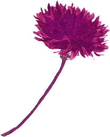 洋红色水彩热带树叶花卉图案PNG免抠图4