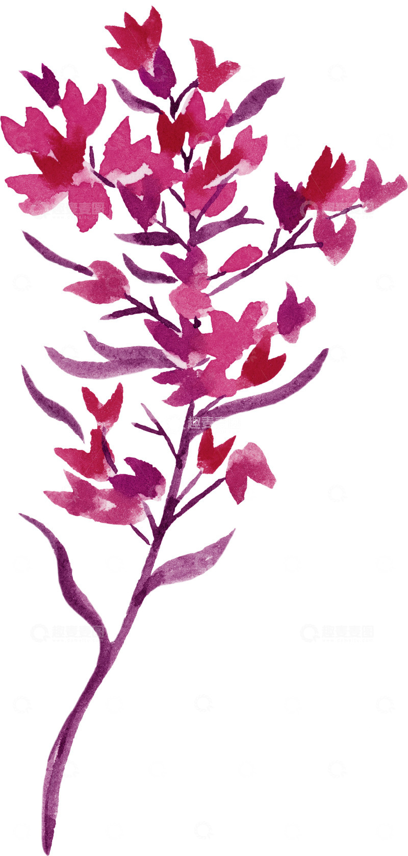 洋红色水彩热带树叶花卉图案PNG免抠图3