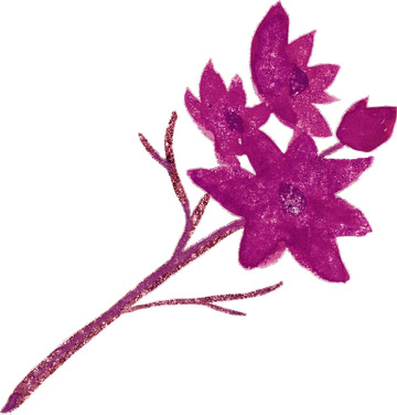 洋红色水彩热带树叶花卉图案PNG免抠图1