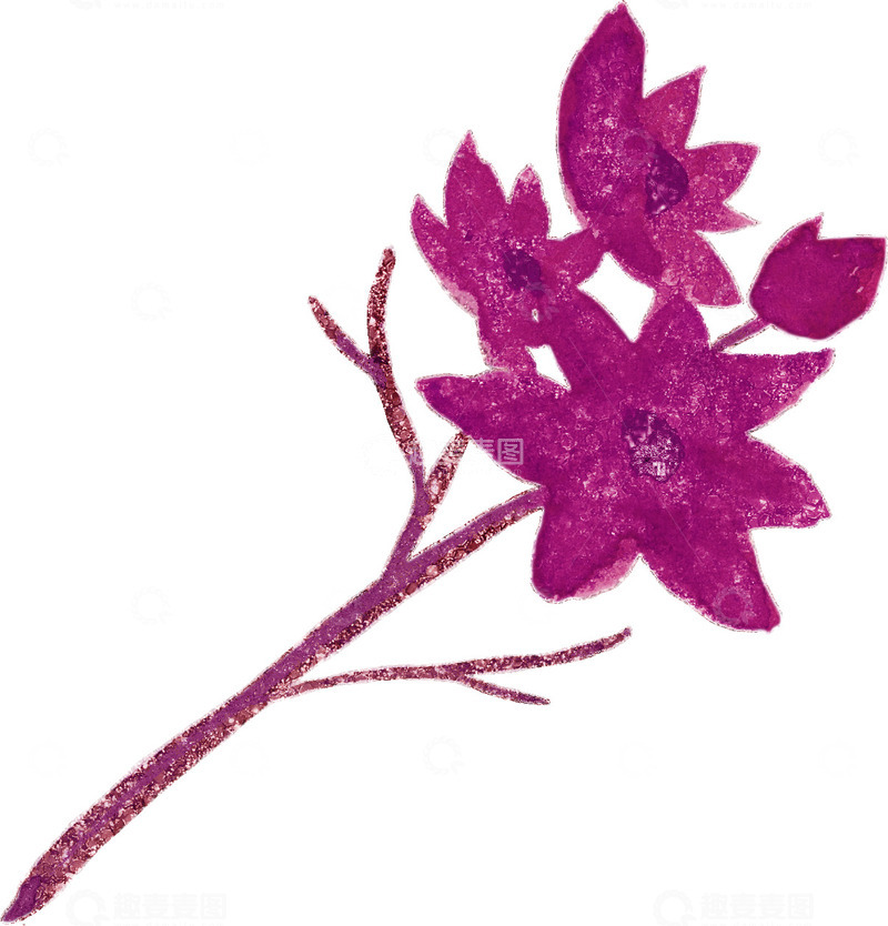 高清大图下载【趣麦麦图】洋红色水彩热带树叶花卉图案PNG免抠图1