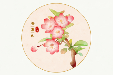 夏天七月海棠花植物花卉