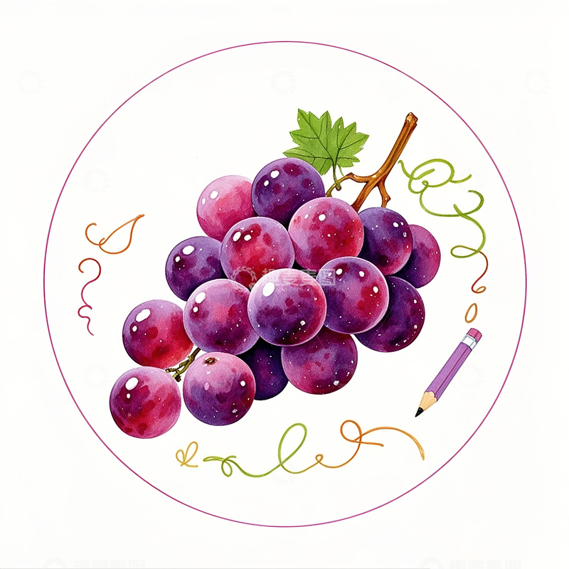 高清大图下载【趣麦麦图】卡通彩铅手绘葡萄素材