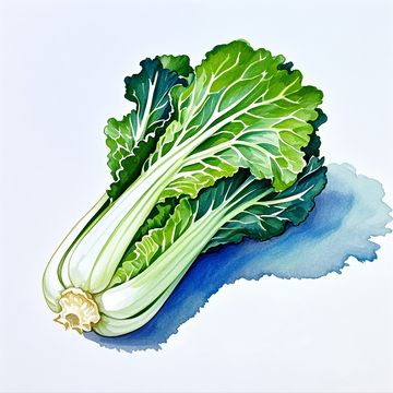 卡通彩铅手绘青菜素材