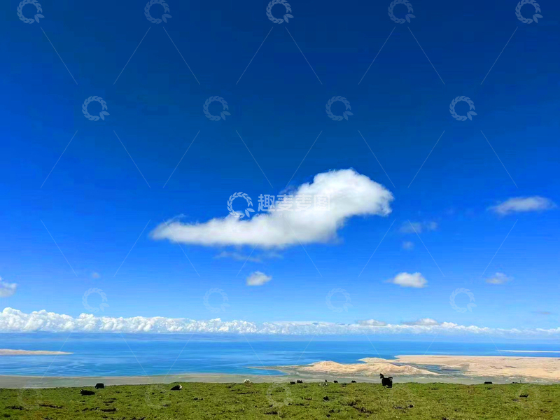 高清大图下载【趣麦麦图】有草有海边背景