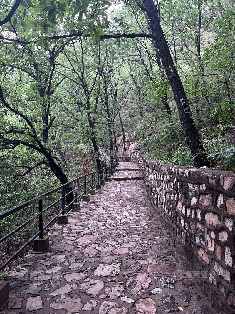 高清大图下载【趣麦麦图】林中小路