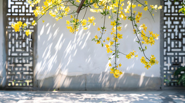 中式庭院与小花枝叶