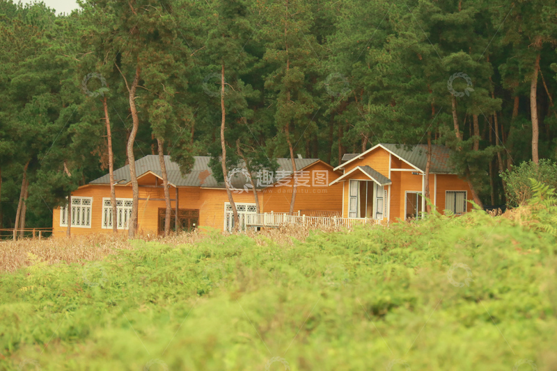 高清大图下载【趣麦麦图】木屋森林