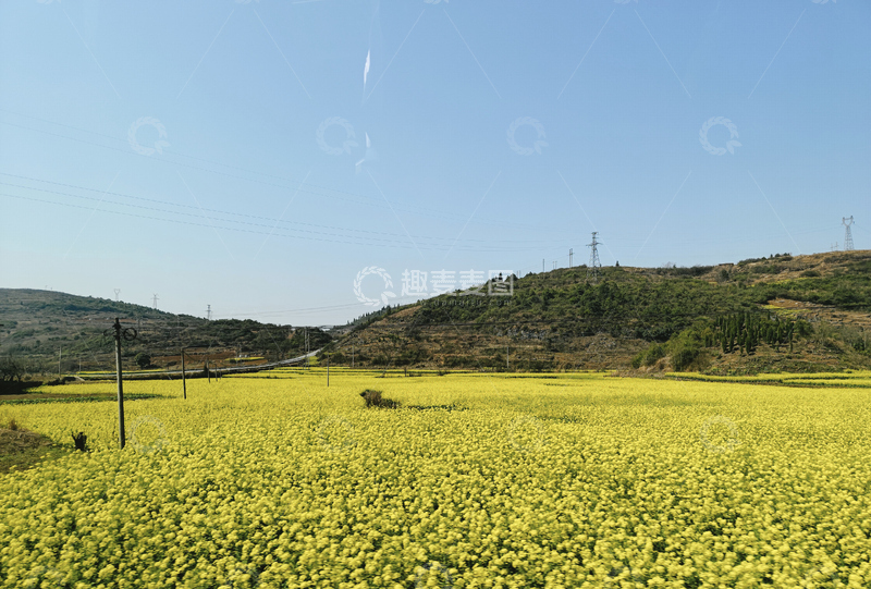 高清大图下载【趣麦麦图】-油菜花田2
