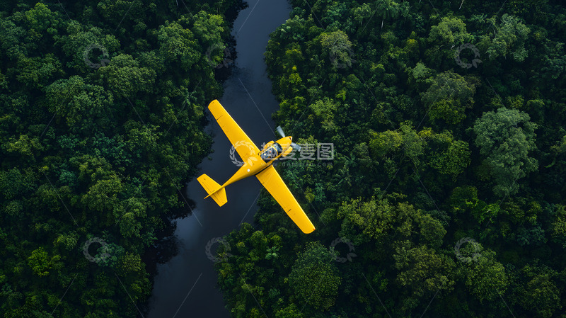 高清大图下载【趣麦麦图】雨林上的黄色飞机1