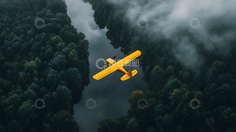 高清大图下载【趣麦麦图】雨林上的黄色飞机2