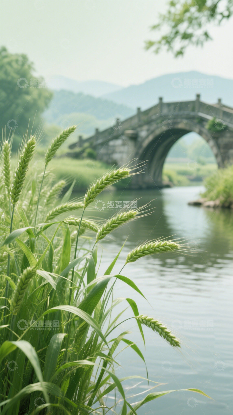 高清大图下载【趣麦麦图】小满海报背景13