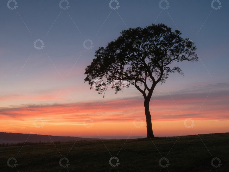 高清大图下载【趣麦麦图】电脑壁纸一颗孤独的树