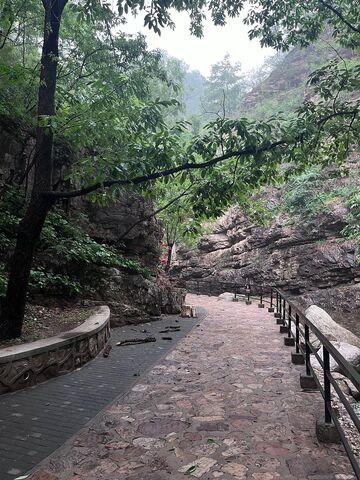 林中小路风景拍摄