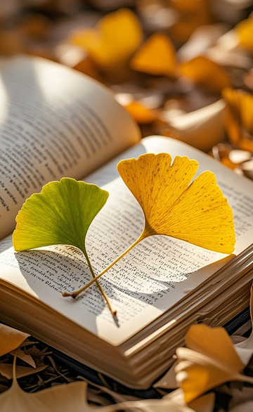 书上的银杏叶1