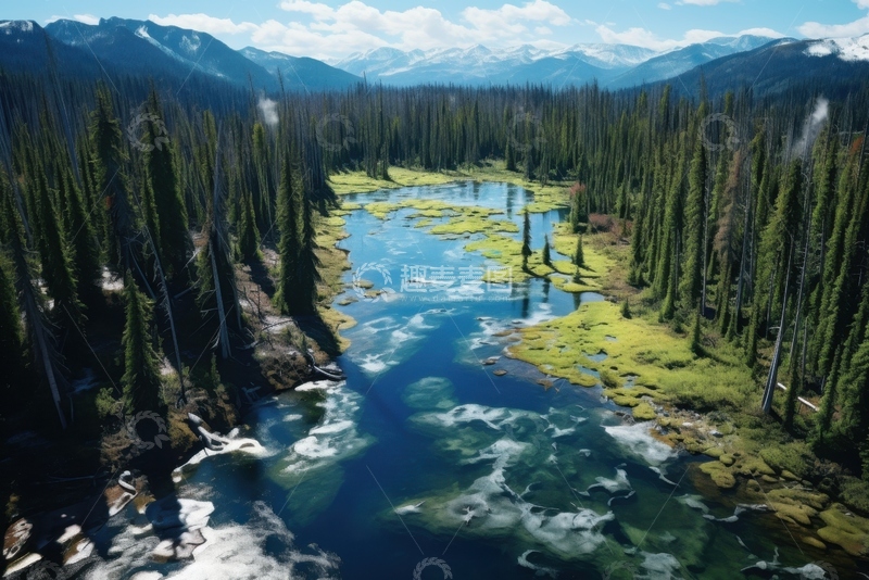 高清大图下载【趣麦麦图】高耸的松树林河流