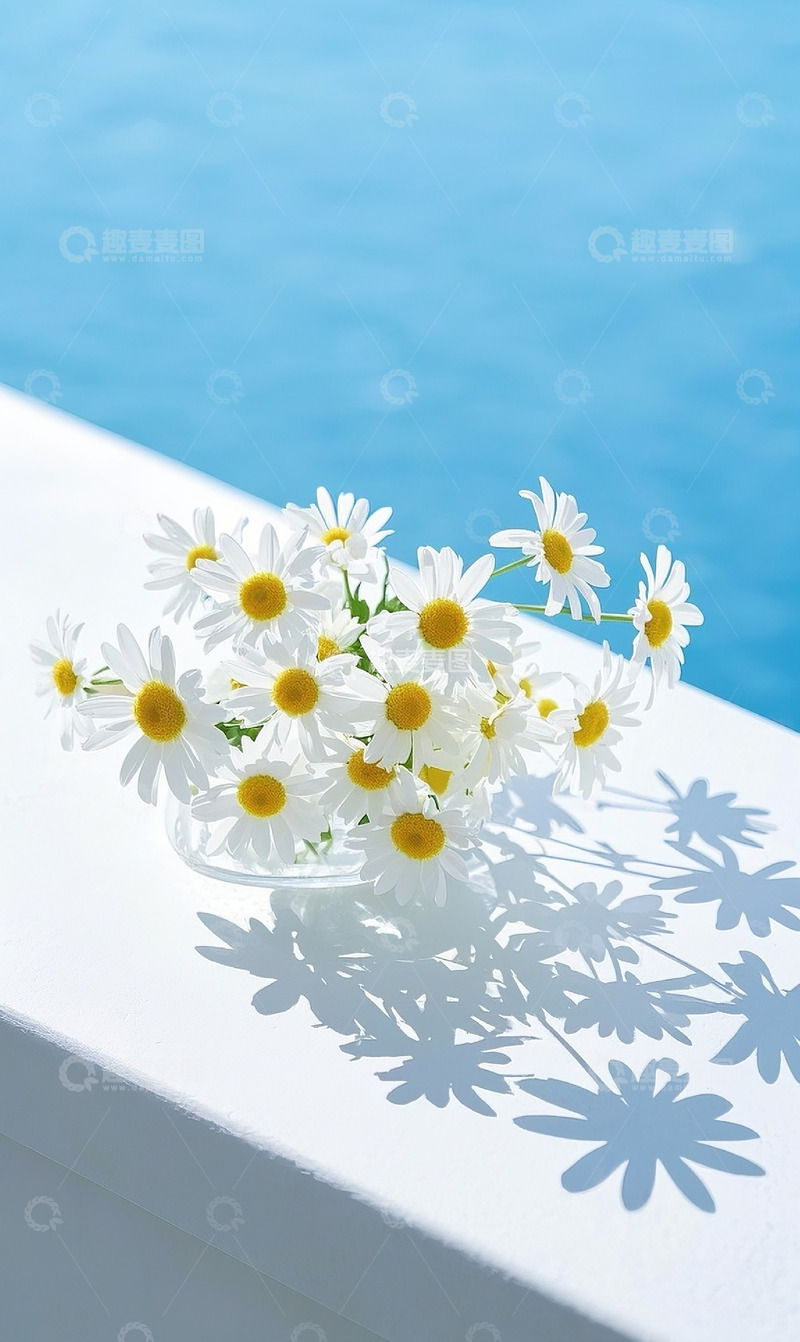 高清大图下载【趣麦麦图】小雏菊5