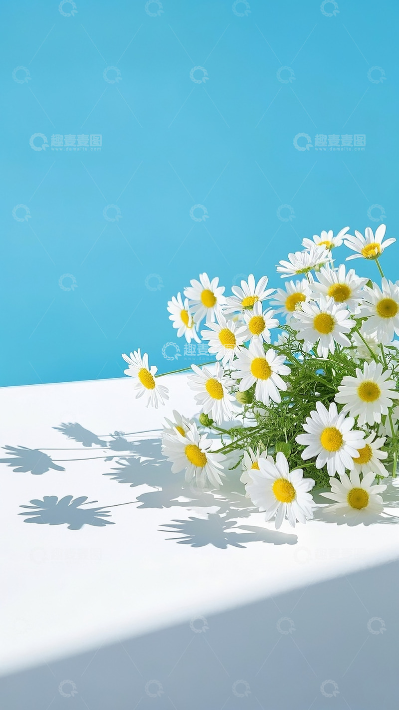 高清大图下载【趣麦麦图】小雏菊6