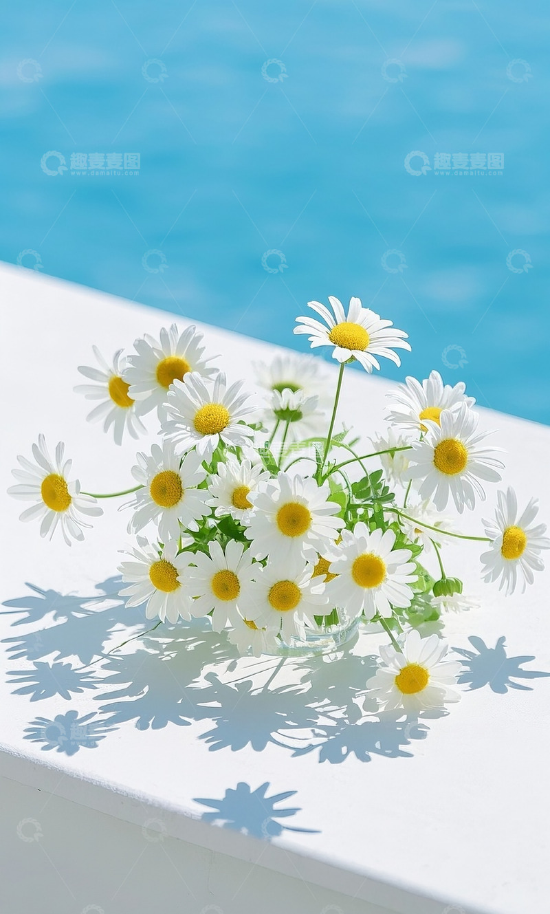 高清大图下载【趣麦麦图】小雏菊8