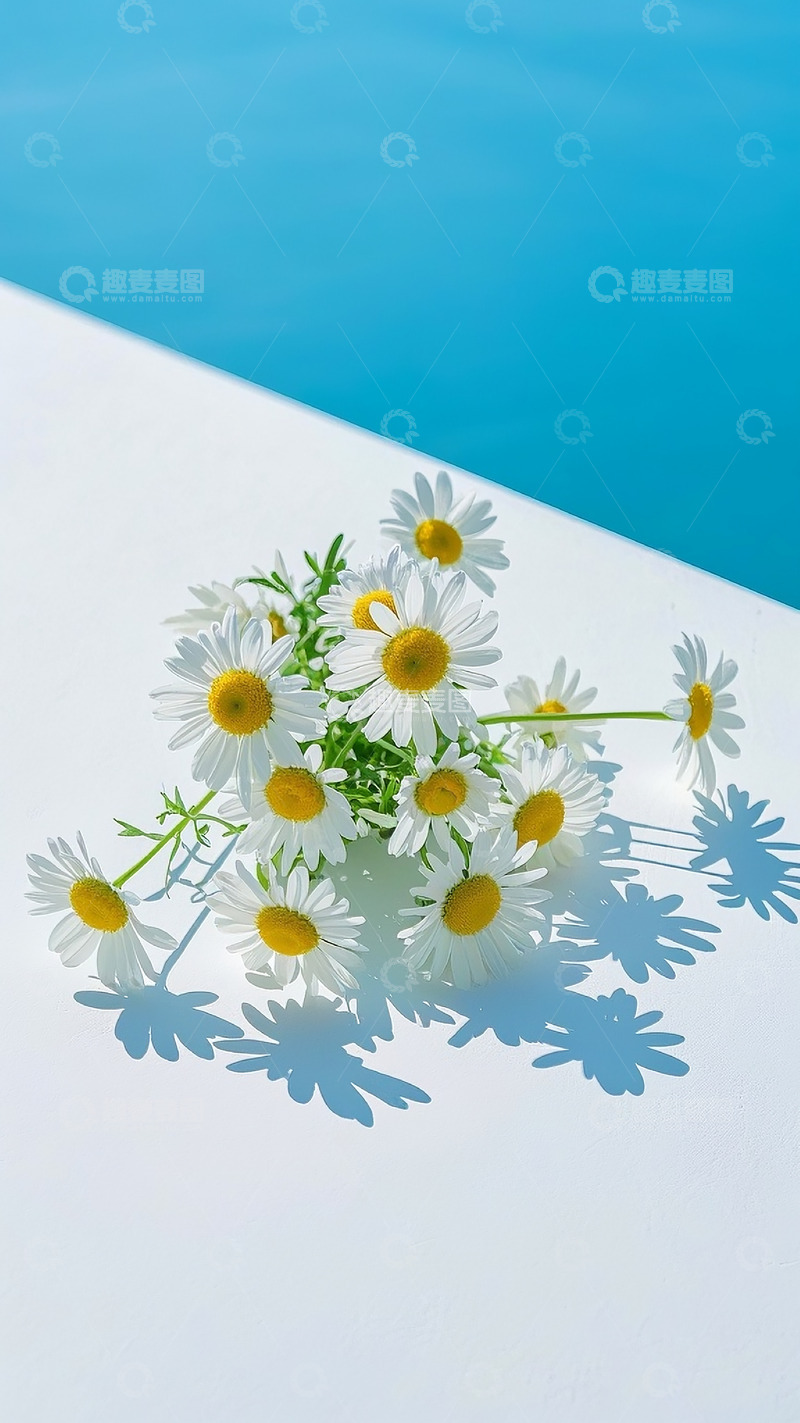 高清大图下载【趣麦麦图】小雏菊4