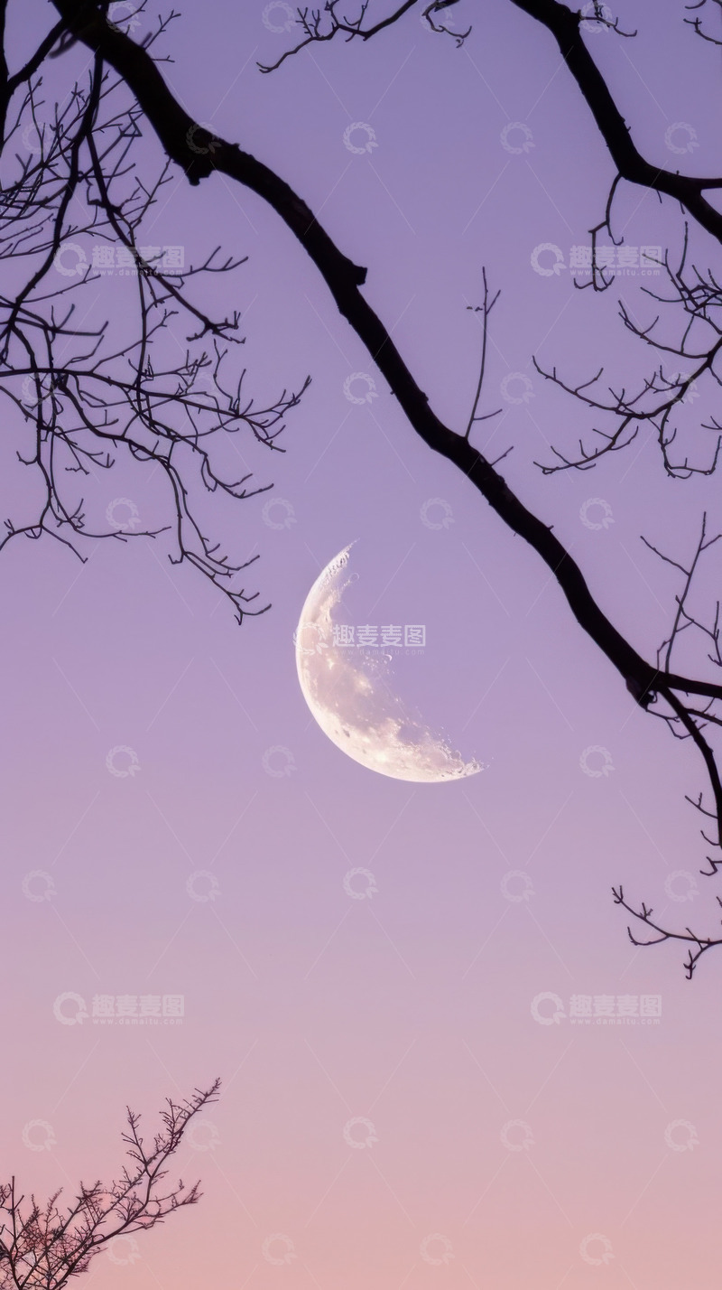 高清大图下载【趣麦麦图】秋季夜色森林自然场景AI插画壁纸背景图片4