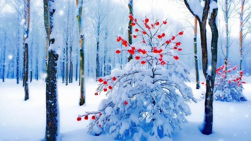 高清大图下载【趣麦麦图】冬季大雪背景13