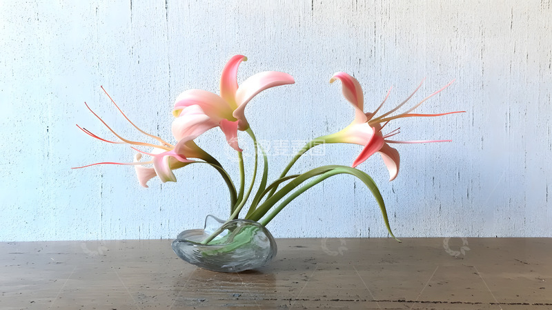 高清大图下载【趣麦麦图】百合花简约花束摆拍8