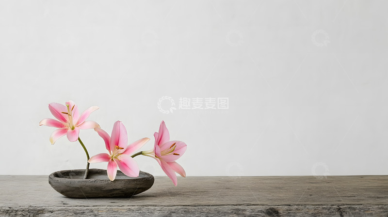 高清大图下载【趣麦麦图】百合花简约花束摆拍9