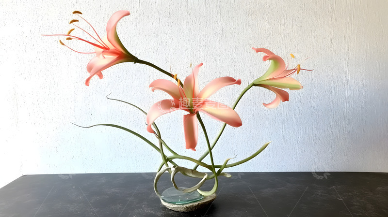 高清大图下载【趣麦麦图】百合花简约花束摆拍