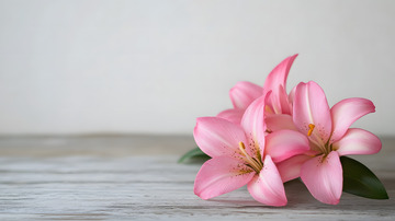 百合花简约花束摆拍11