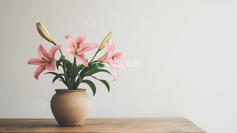 高清大图下载【趣麦麦图】百合花简约花束摆拍7