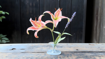 百合花简约花束摆拍3