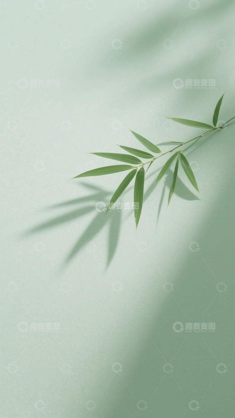 高清大图下载【趣麦麦图】简约竹子插画21
