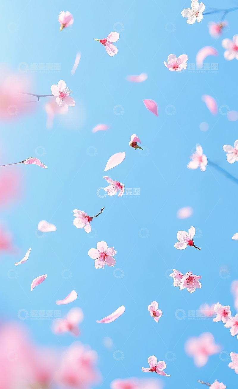 高清大图下载【趣麦麦图】海棠花5