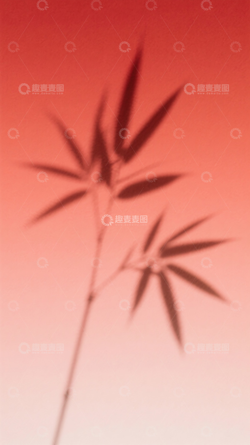 高清大图下载【趣麦麦图】简约竹子插画30