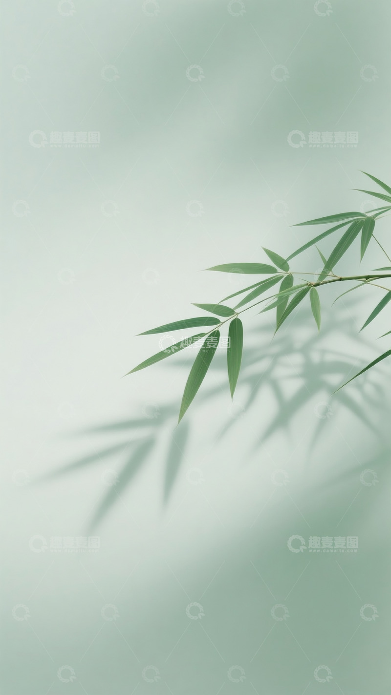 高清大图下载【趣麦麦图】简约竹子插画23