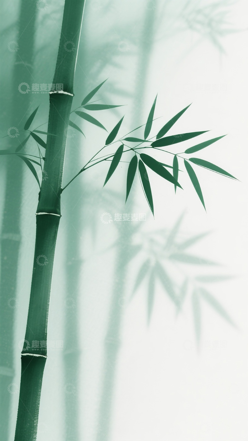 高清大图下载【趣麦麦图】简约竹子插画9