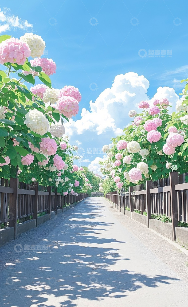 高清大图下载【趣麦麦图】绣球花10