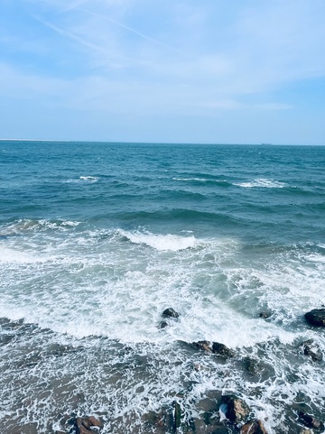 春季海边风景拍摄