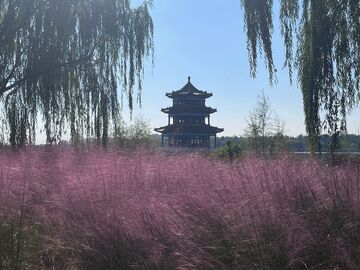 夏季古建筑风景拍摄