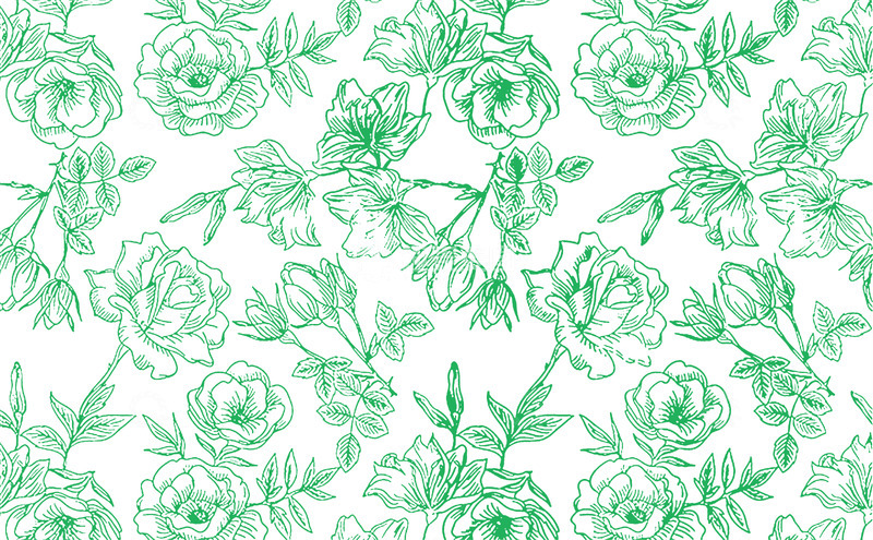 手绘简约线条腊梅