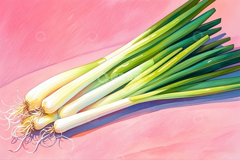 高清大图下载【趣麦麦图】水彩插画大葱5