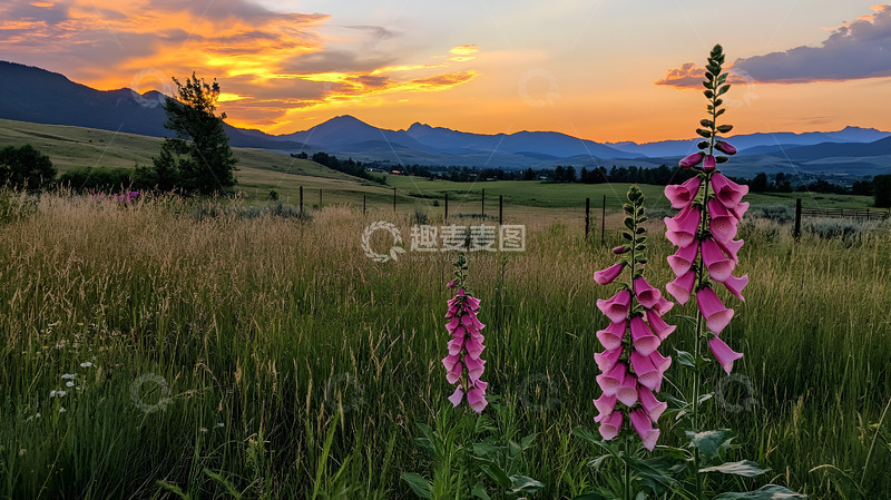 高清大图下载【趣麦麦图】山间的日出彩霞美景7