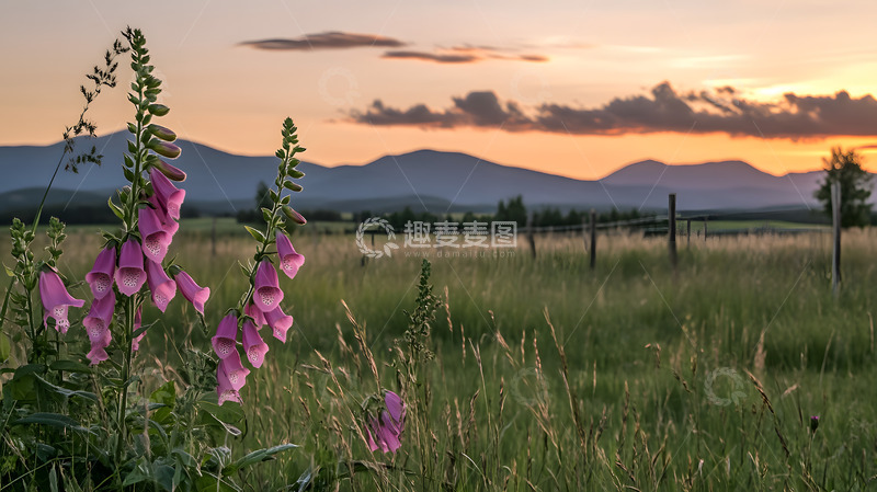 高清大图下载【趣麦麦图】山间的日出彩霞美景3