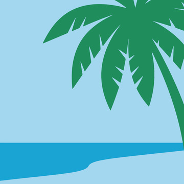 简约风格海滩棕榈树插画