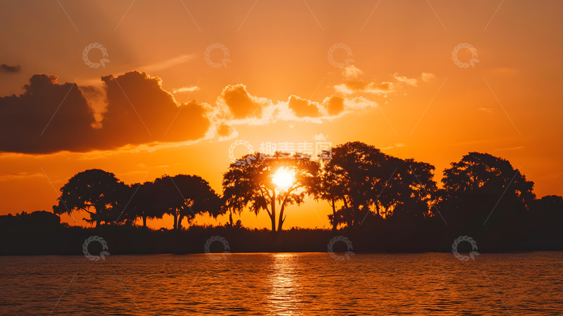 高清大图下载【趣麦麦图】夕阳的逆光树影