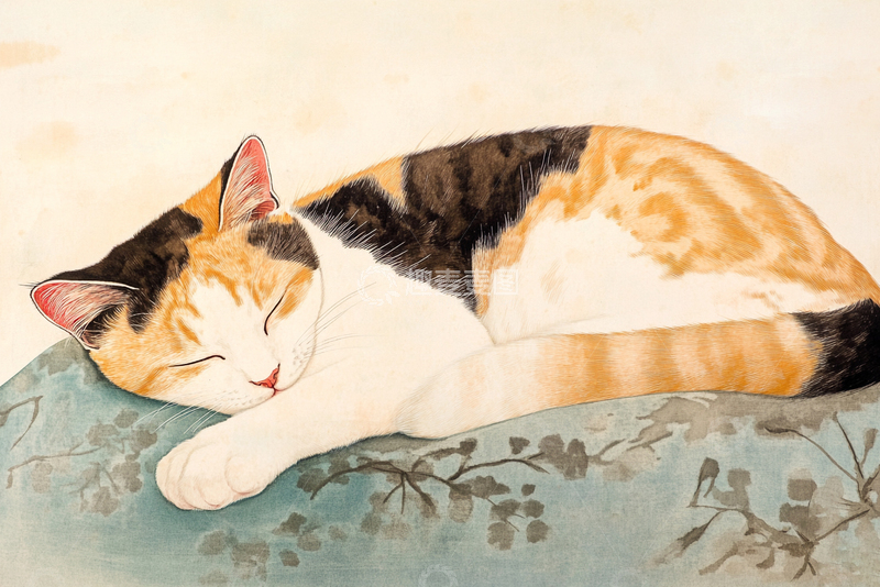 高清大图下载【趣麦麦图】可爱猫咪小猫6