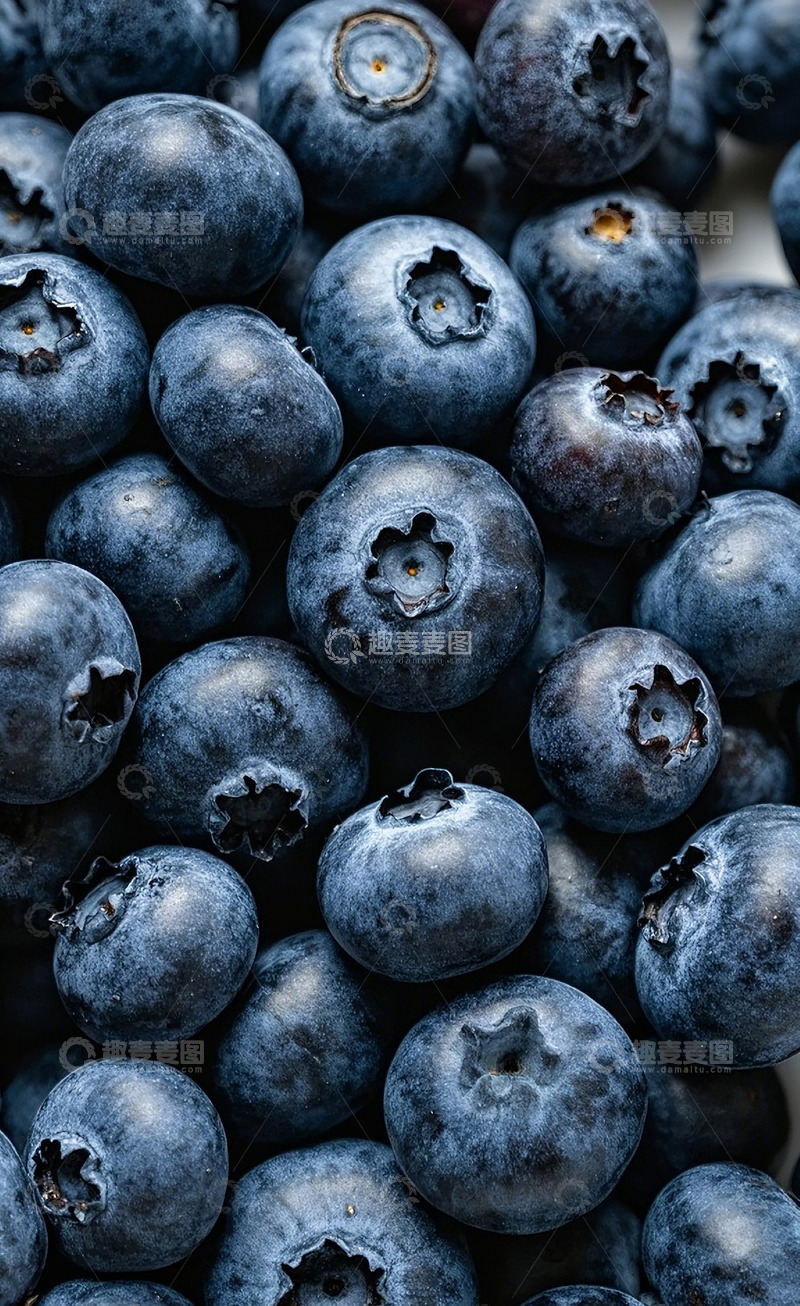 高清大图下载【趣麦麦图】蓝莓26